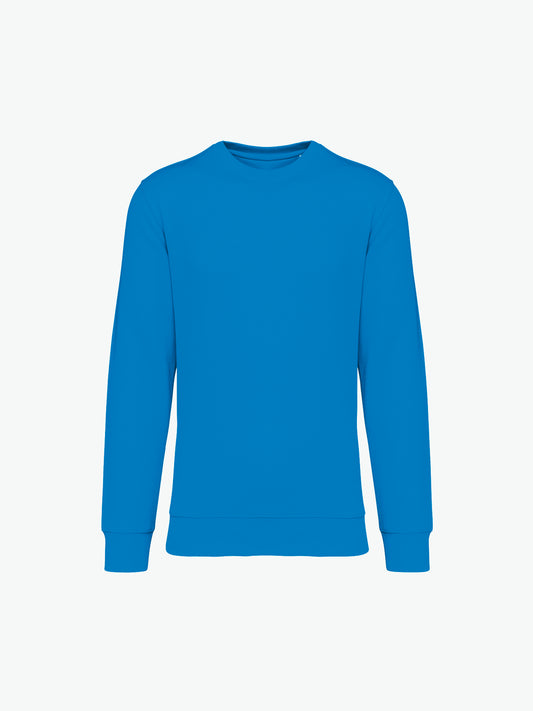 Native Spirit NS400 Sweater met ronde hals - Light Turquoise Duurzame Sweater Native Spirit