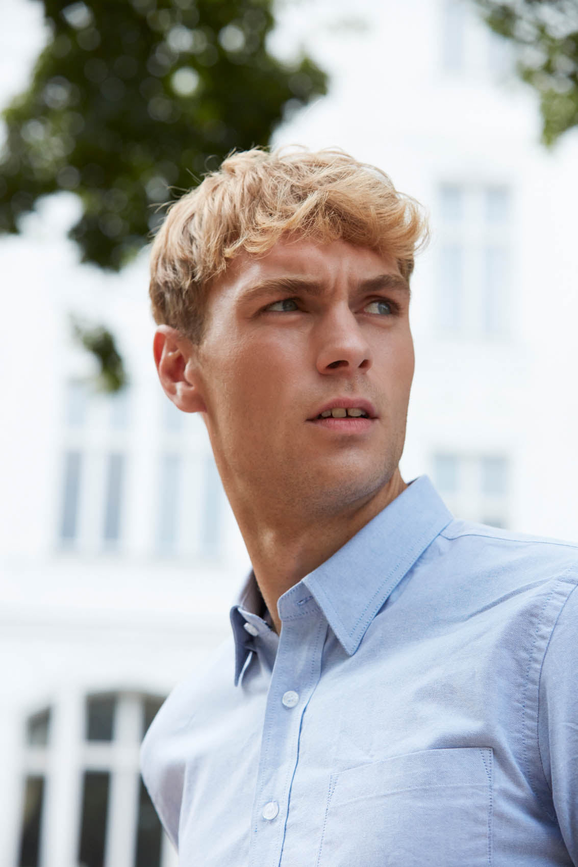 Clique Cambridge Shirt - Zwart Overhemd Clique