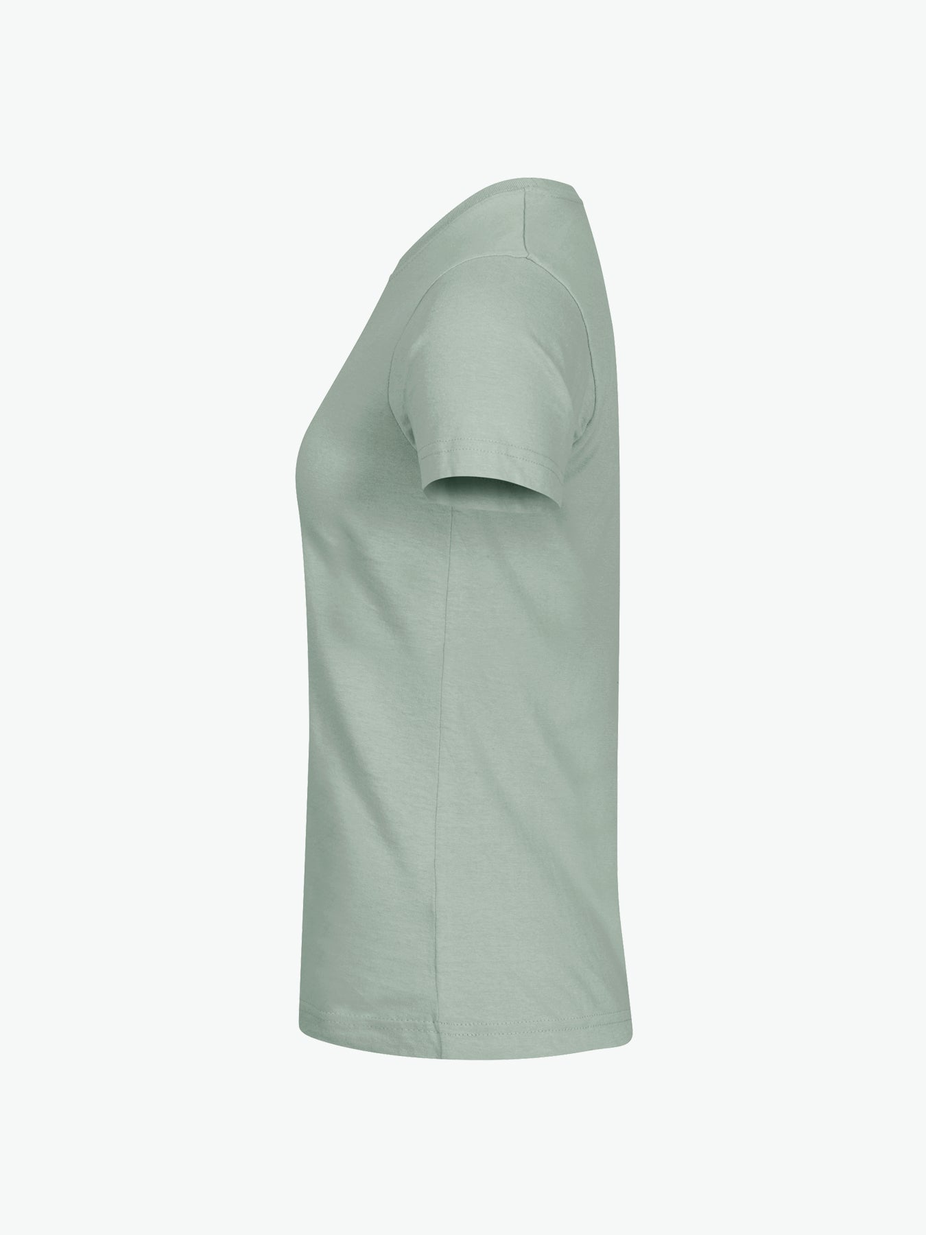 Clique Basic-T Women - Saliegroen T-Shirt Dames Clique