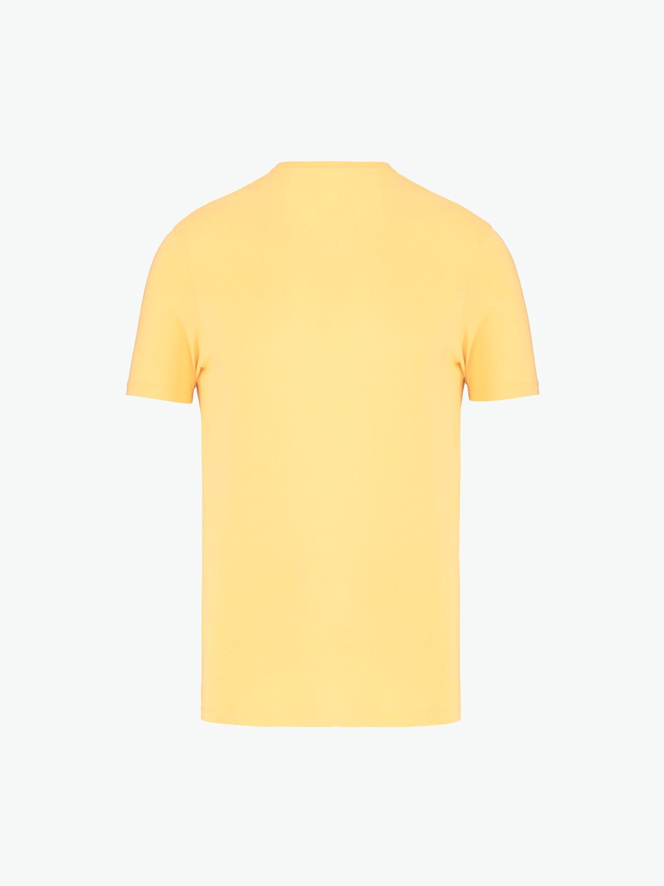 Native Spirit NS300 T-shirt - Pineapple Duurzame T-Shirt Native Spirit