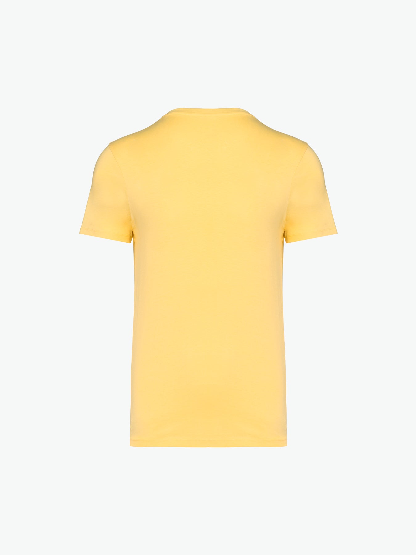 Native Spirit NS305 T-shirt - Pineapple Duurzame T-Shirt Native Spirit