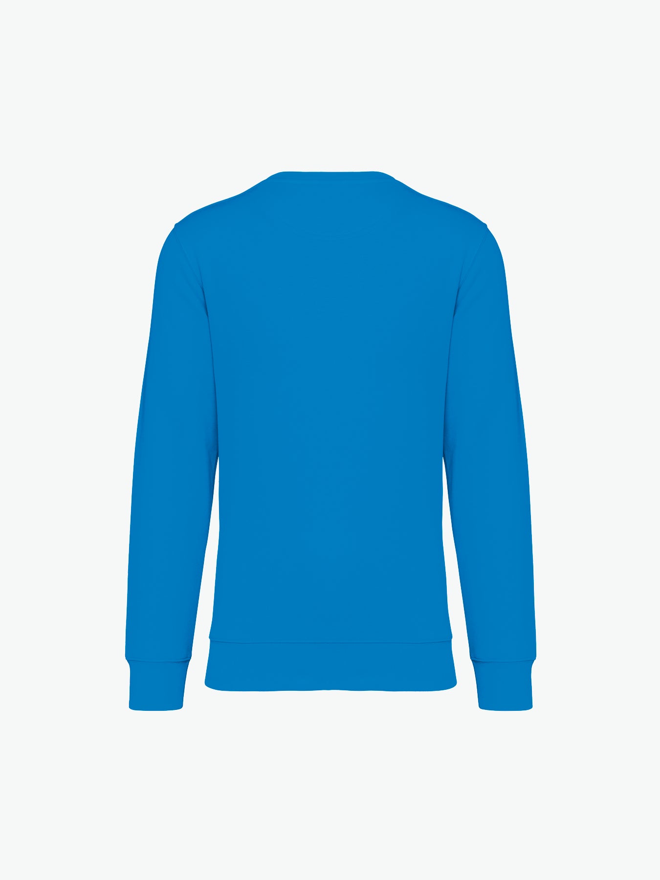 Native Spirit NS400 Sweater met ronde hals - Light Turquoise Duurzame Sweater Native Spirit