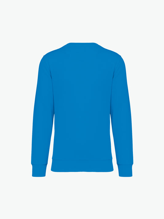 Native Spirit NS400 Sweater met ronde hals - Light Turquoise Duurzame Sweater Native Spirit