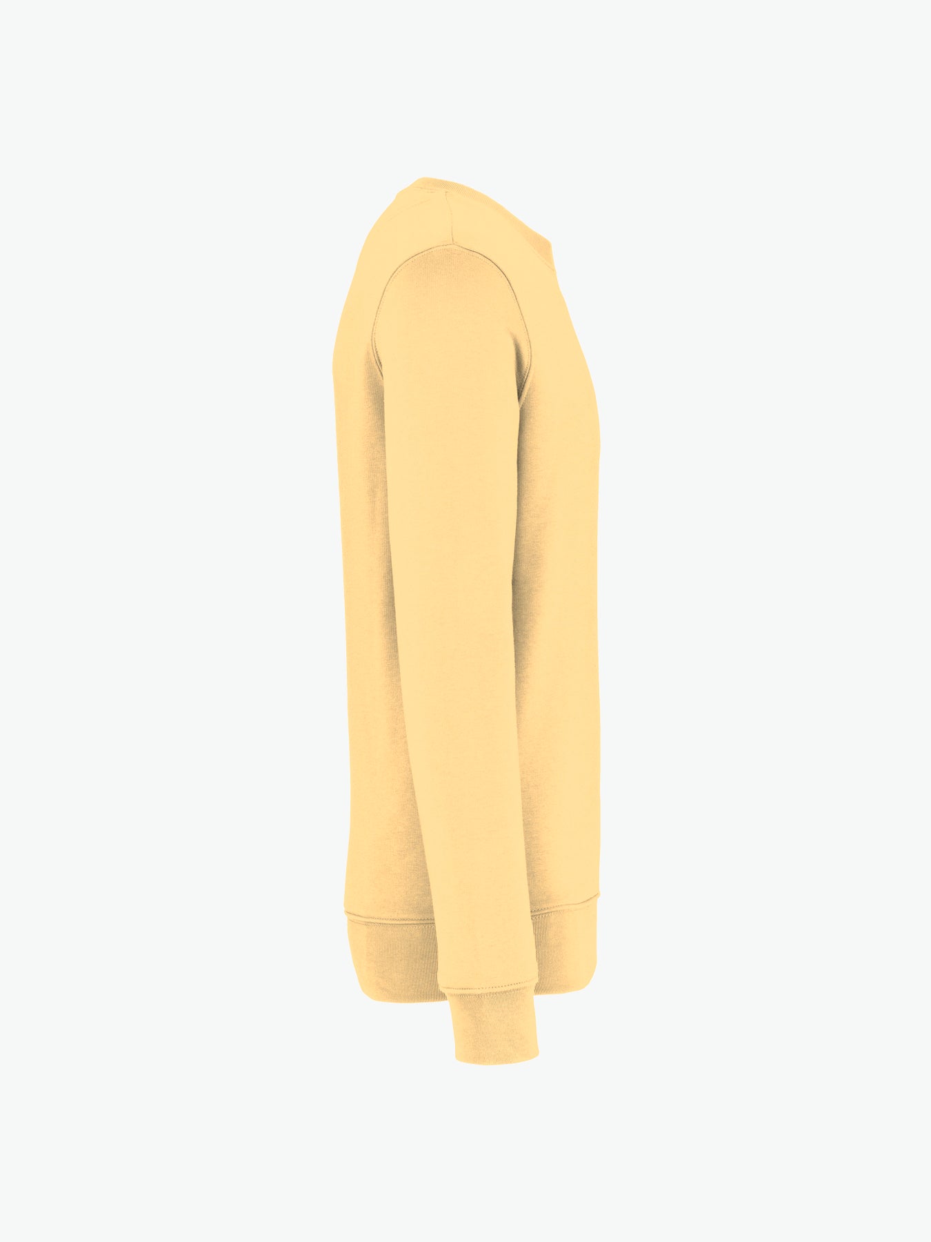 Native Spirit NS400 Sweater met ronde hals - Pineapple Duurzame Sweater Native Spirit