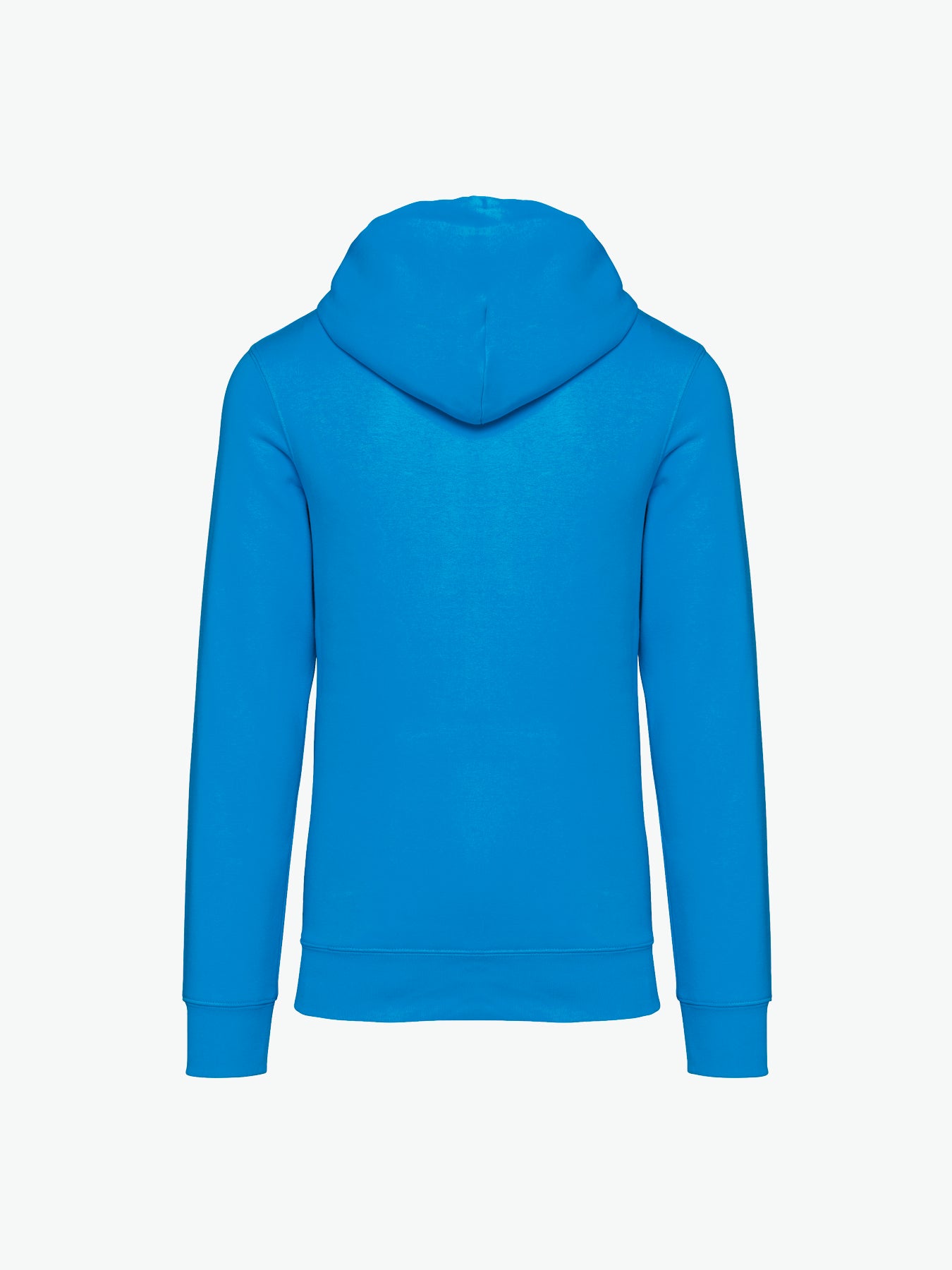 Native Spirit NS401 Hooded sweatshirt - Light Turquoise Duurzame Hoodie Native Spirit