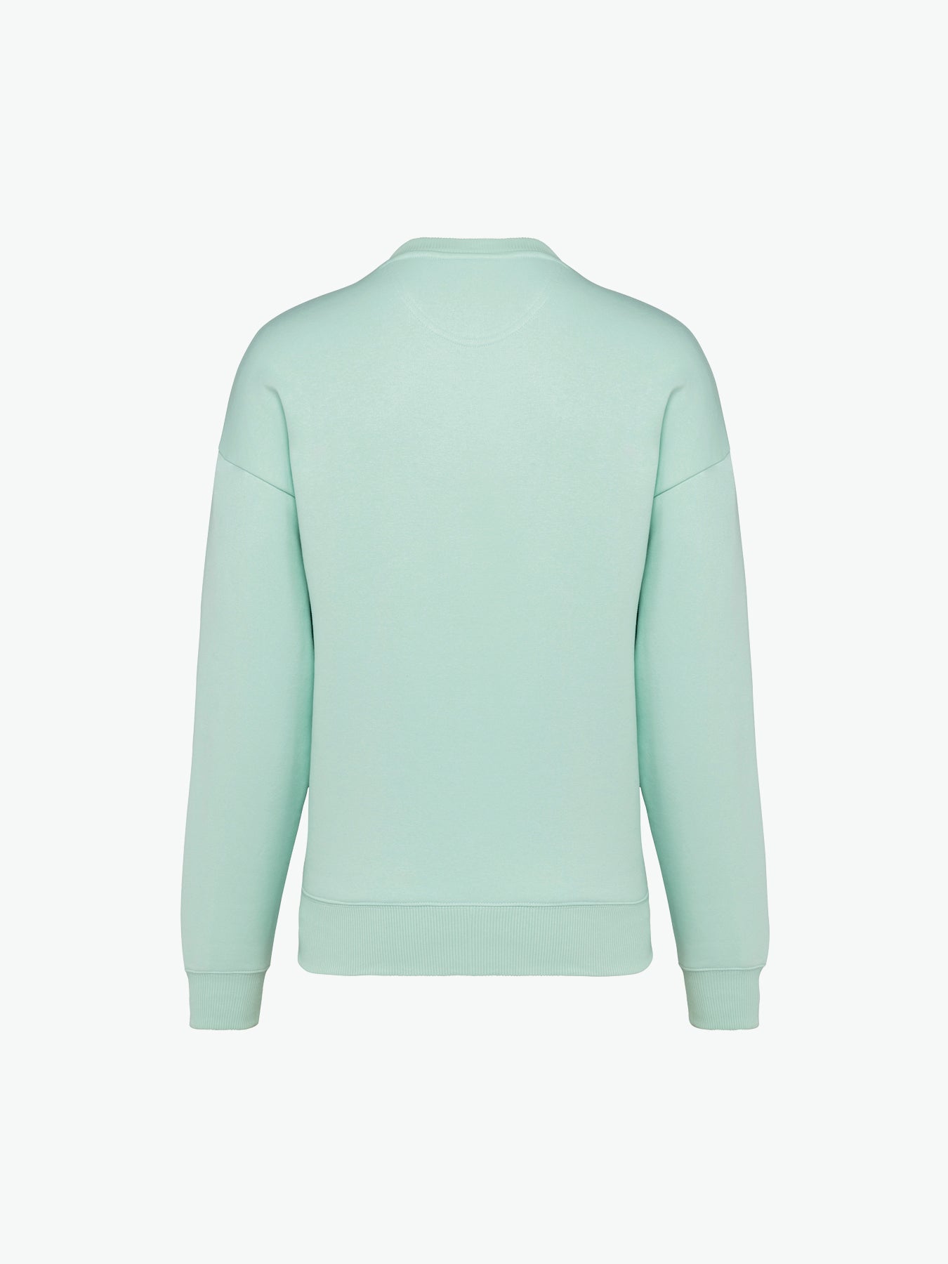 Native Spirit NS407 Sweater met ronde hals - Brook Green Duurzame Sweater Native Spirit