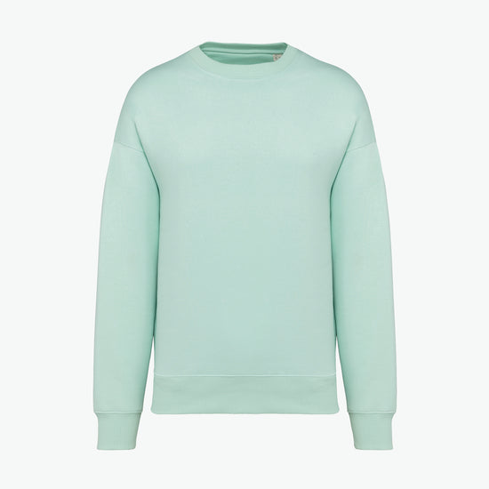 Native Spirit NS407 Sweater met ronde hals - Brook Green Duurzame Sweater Native Spirit