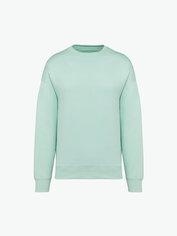 Native Spirit NS407 Sweater met ronde hals - Brook Green Duurzame Sweater Native Spirit