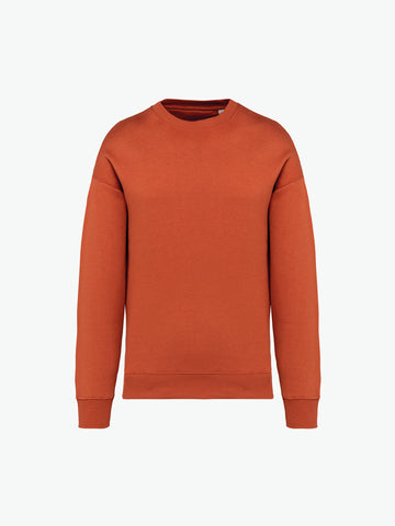 Native Spirit NS407 Sweater met ronde hals - Burnt Brick Duurzame Sweater Native Spirit