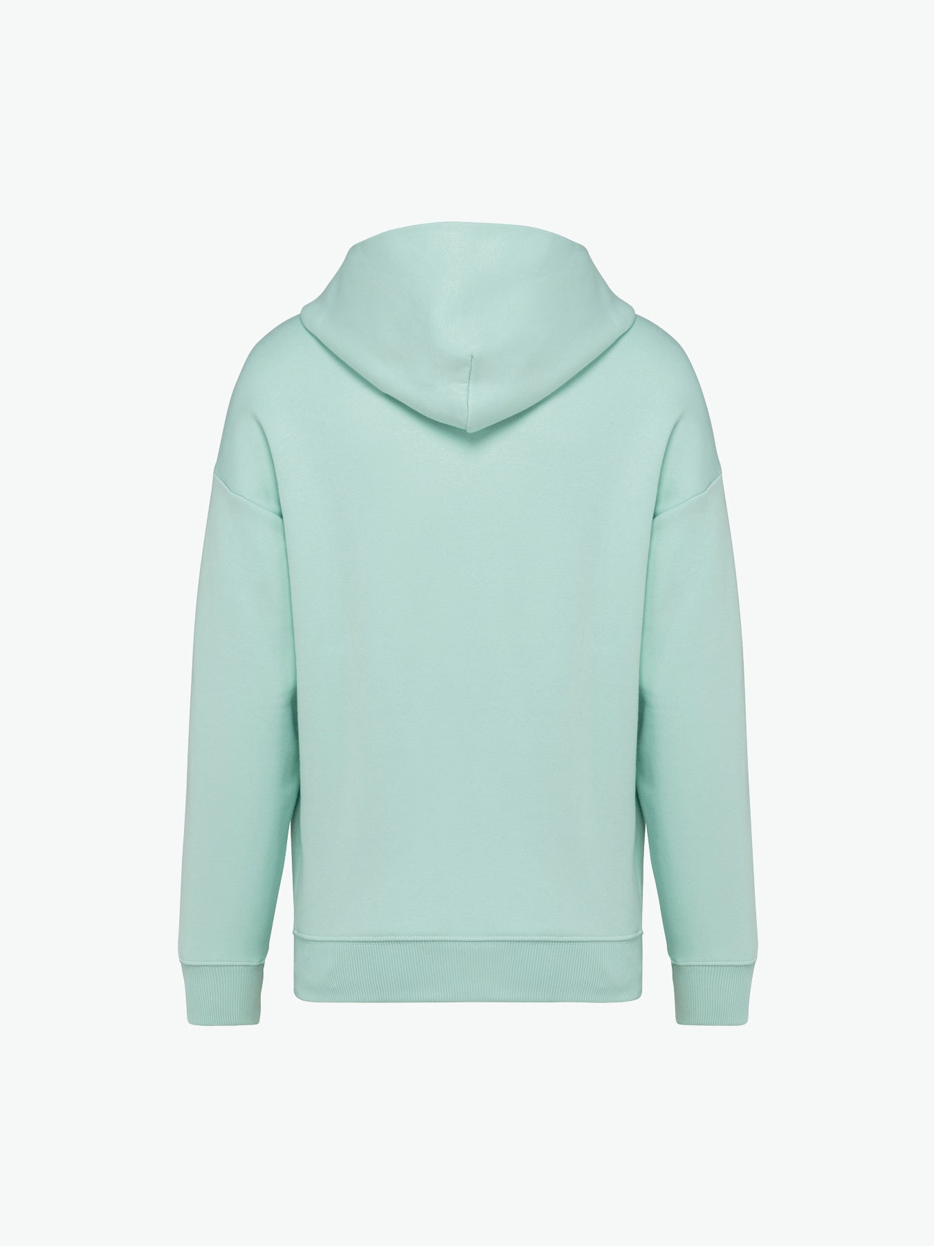 Native Spirit NS408 Hooded sweatshirt - Brook Green Duurzame Hoodie Native Spirit
