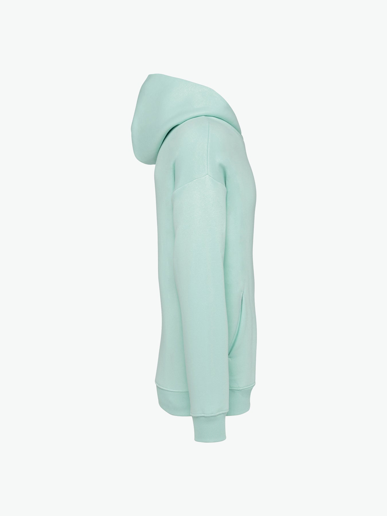Native Spirit NS408 Hooded sweatshirt - Brook Green Duurzame Hoodie Native Spirit